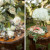 iowa city wedding