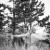 engagement pictures in estes park