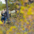 Lumpy Ridge, RMNP Engagement