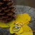 Wedding Ring Pictures