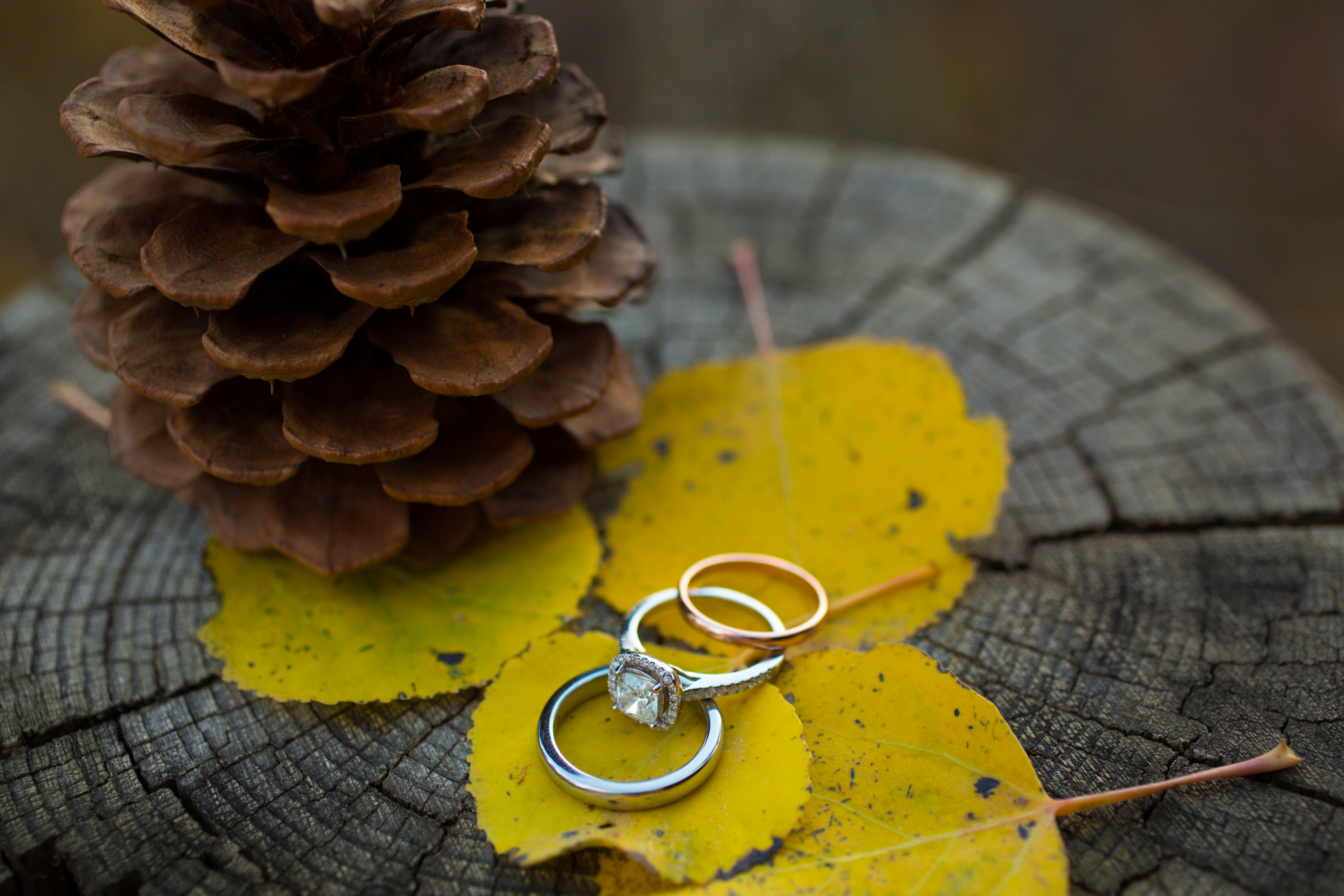 Wedding Ring Pictures