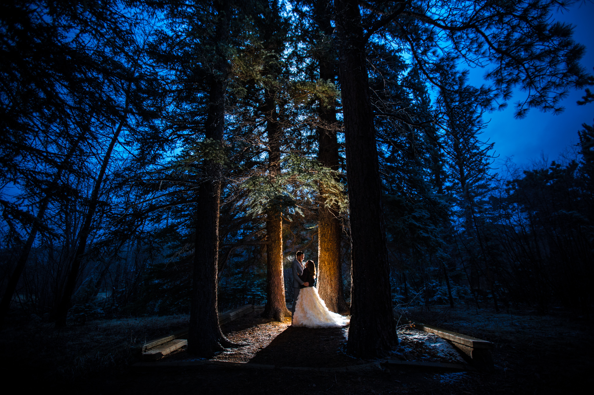 estes park wedding photographer