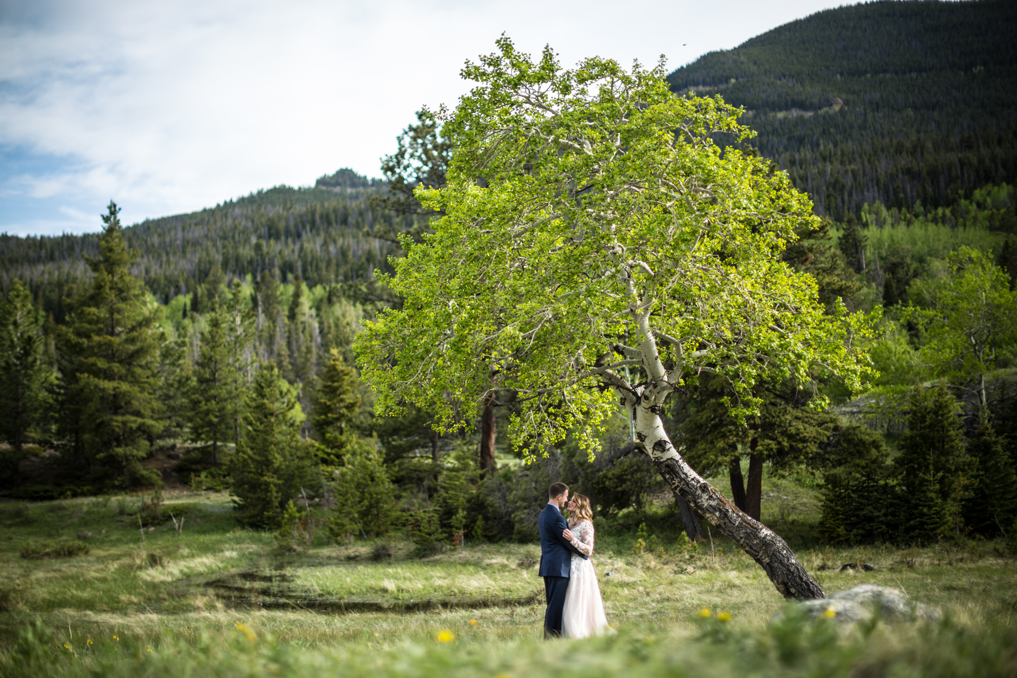 estes park after wedding photos