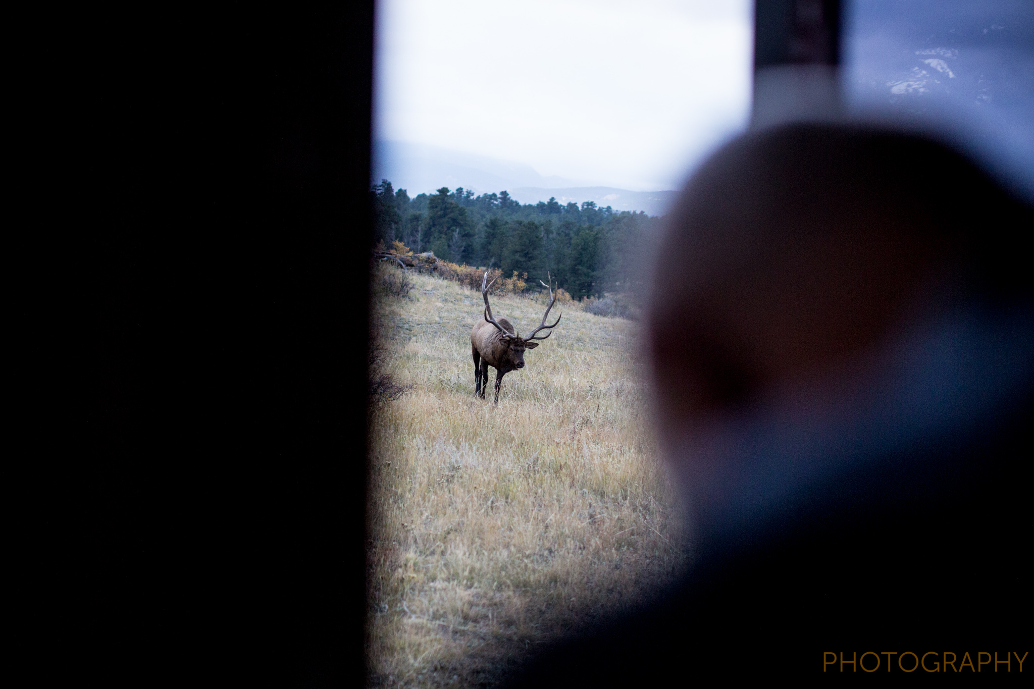 black canyon inn wedding photographers