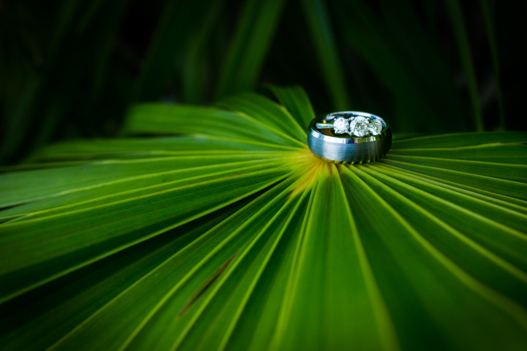 cancun elopement photographer