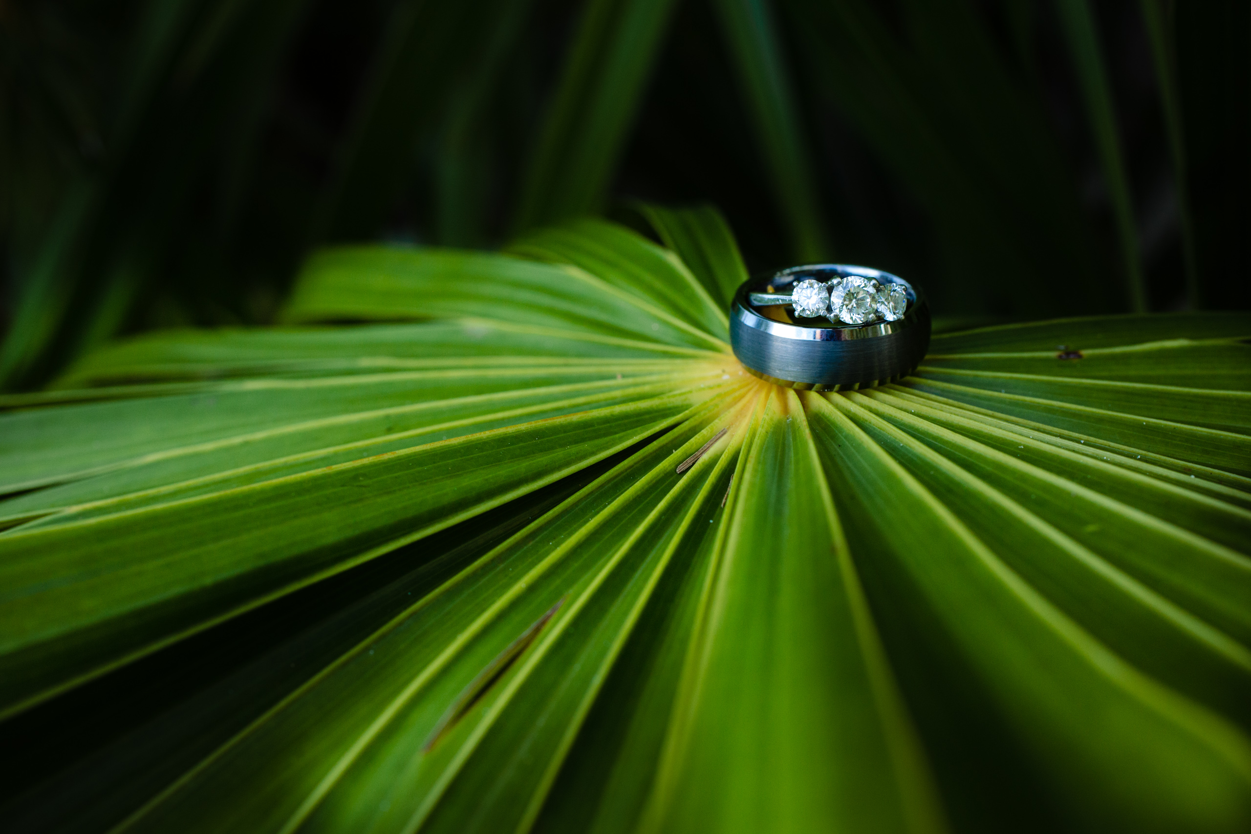 cancun elopement photographer