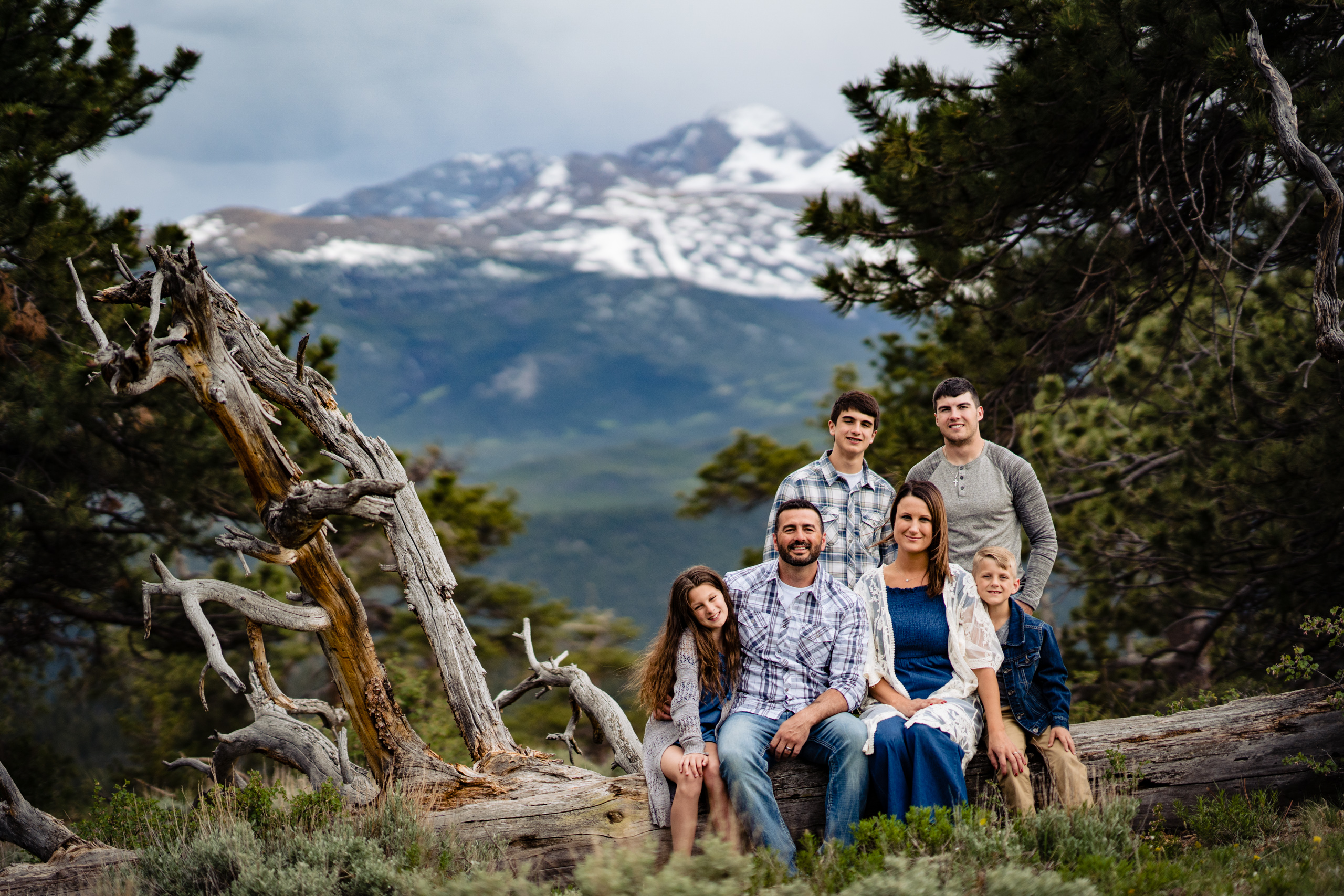 estes park family photographer