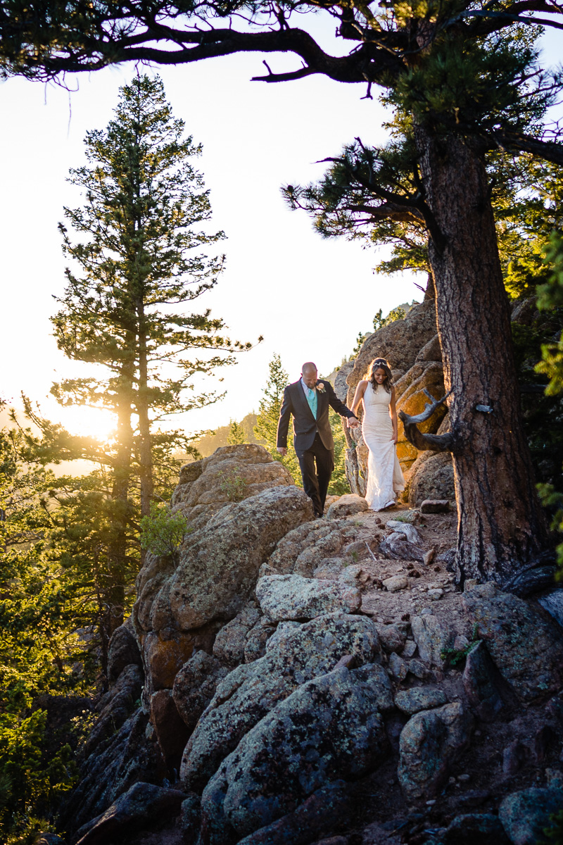 lily lake rmnp