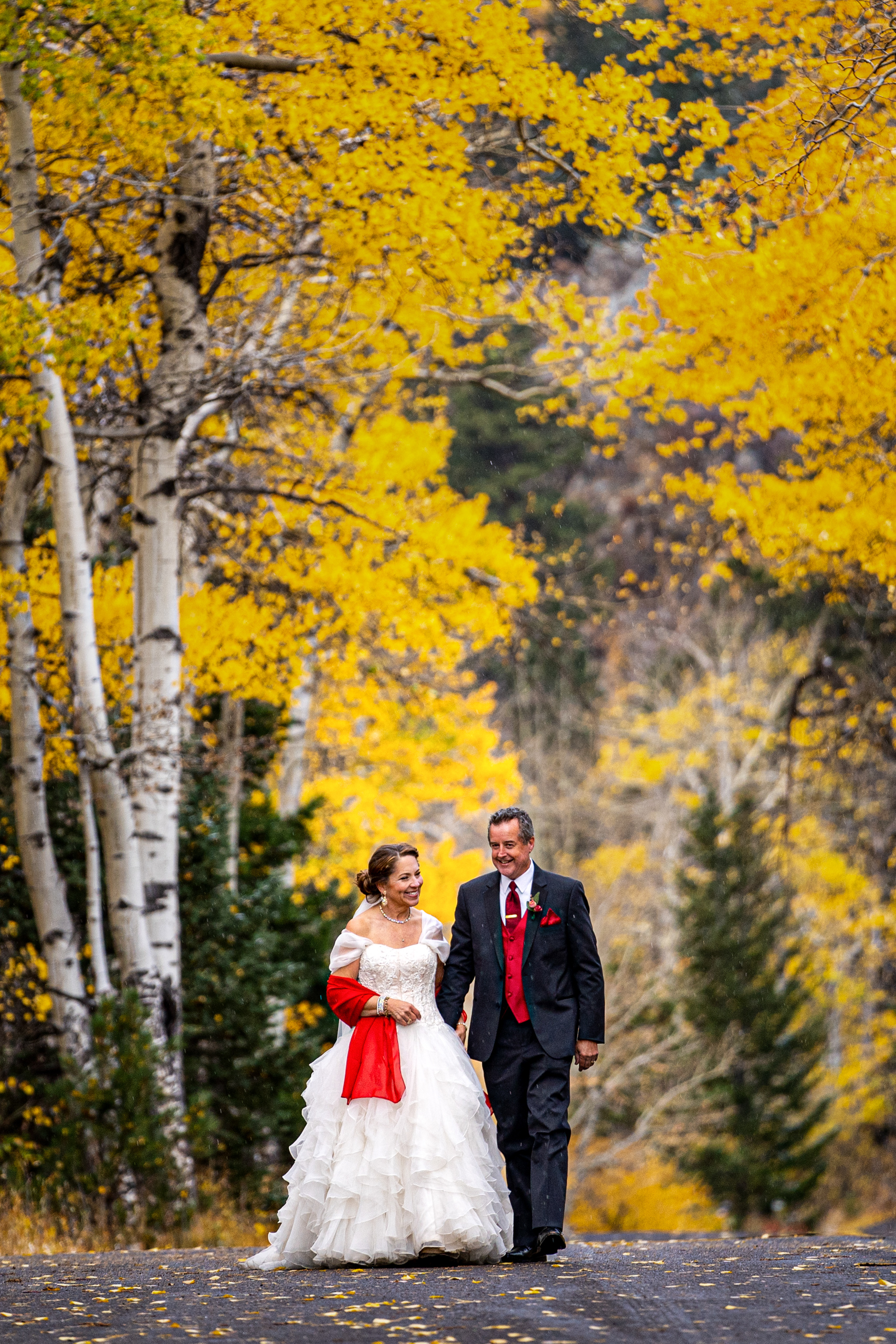Newly married couple walking in RMNP with bright yellow aspen trees