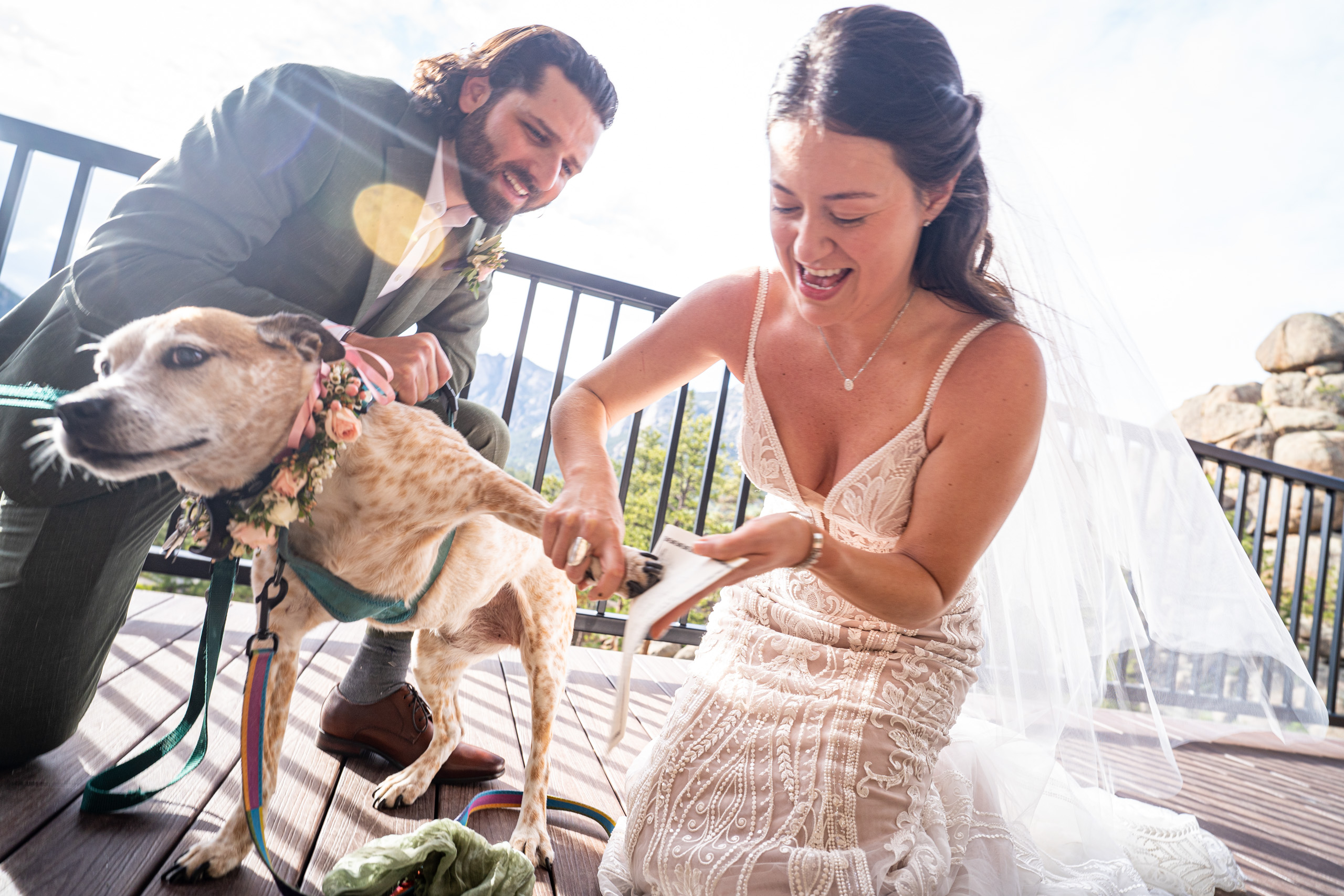 dog signing license dog signs marriage license, captured by estes park wedding photographer
