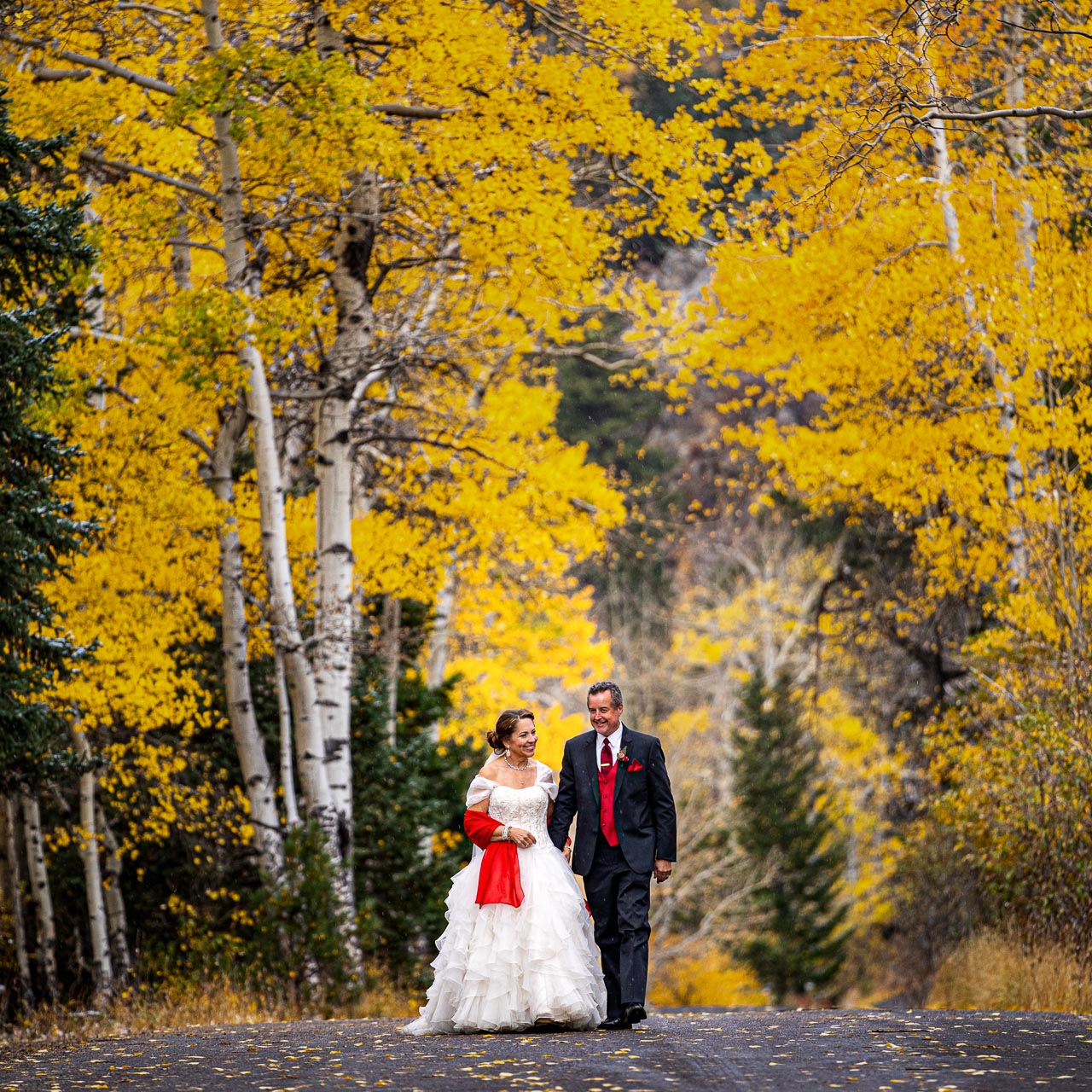 the value of wedding photography, in rocky mountain national park